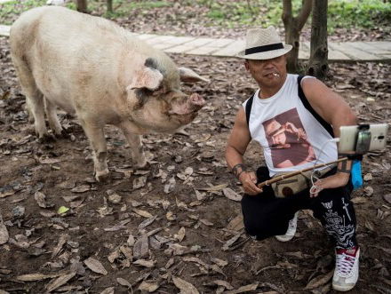 Met dieren op de foto voor The Gram: doen of niet?