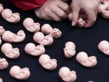 Eva de Goeij: ‘De abortuswet in VS maakt abortus vrijwel onmogelijk’