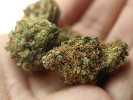 Staatswiet, wat is dat?