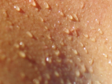 Pas op! Shoarma ruik je de volgende dag in je zweet!