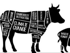 Jeffrey: "Vegetariërs moeten vleeseters met rust laten"