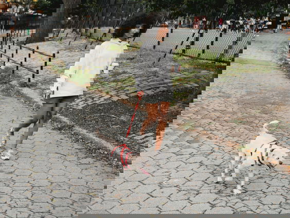 Organisator 'De Stadswandeling Arnhem': "De horeca is zo blij en dankbaar!"