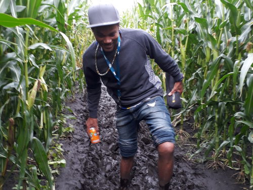 Jeansen vs Vanessa (Deel 1): Wie weet als eerste de uitgang te vinden in het maisdoolhof?