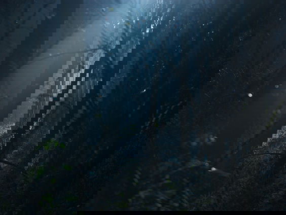 Er is een Nederlandse horror-komedie in de maak!