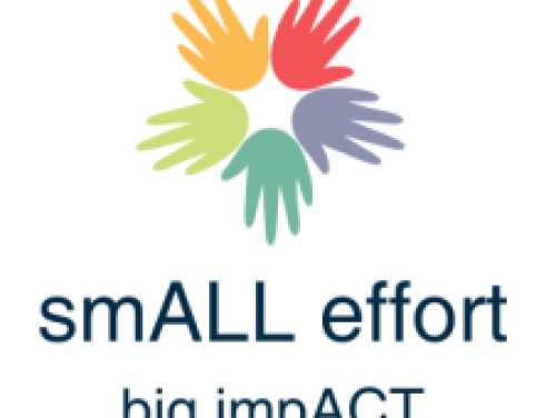 Small Effort Big Impact: Sandi start de Domino Challenge!