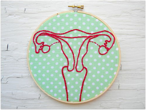 Feiten en fabels over de punani!