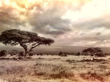 Gaat Afrika in tweeën splitsen?