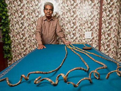 TOP 5 BIZARRE WERELDRECORDS