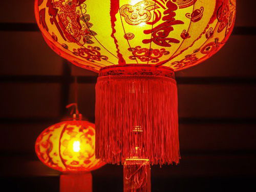 Chinees Nieuwjaar; het jaar van de hond.. Wat kunnen wij nou leren van honden?