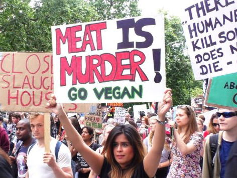 Amadesha organiseert de eerste Animal Rights March in Nederland!