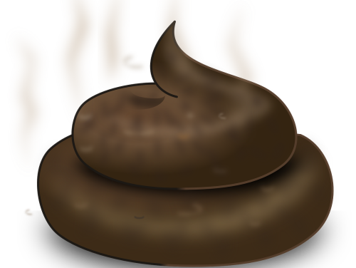 Deze poepfeitjes had je altijd al willen weten!