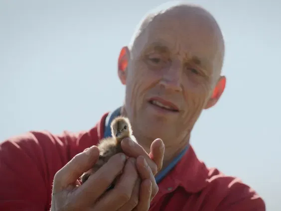 Vanaf morgen in de bioscoop: Vogels kun je niet melken