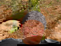 Lotte van Eijk maakt statement met vintage fashion in ‘A Beautiful Mess’