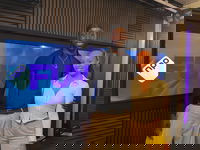 Waarom dit verhaal nú verteld moet worden: A Plastic State of Mind