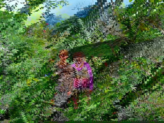 Tuinvolk: Het verhaal van Georgine