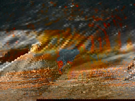 Lekkere Track: Zacht Winterweer