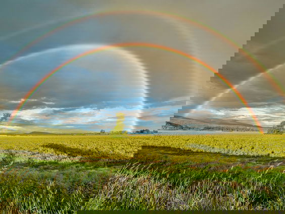 Lekkere Track: Voorbij de Regenboog