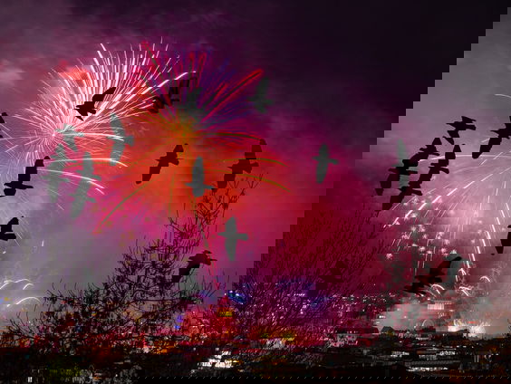 De Jaargetijden: Vogels en vuurwerk