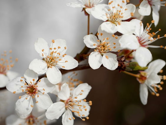 Kettingreactie 4 april 2025