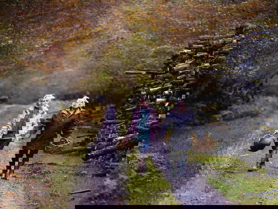 Filmtip - Quand Vient L'Automne