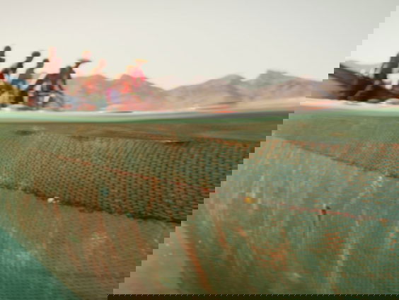 Het gesprek - Corinne van Egeraat