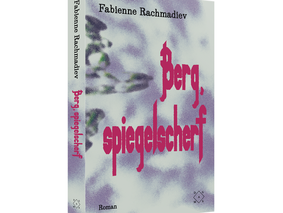 Het gesprek - Fabienne Rachmadiev