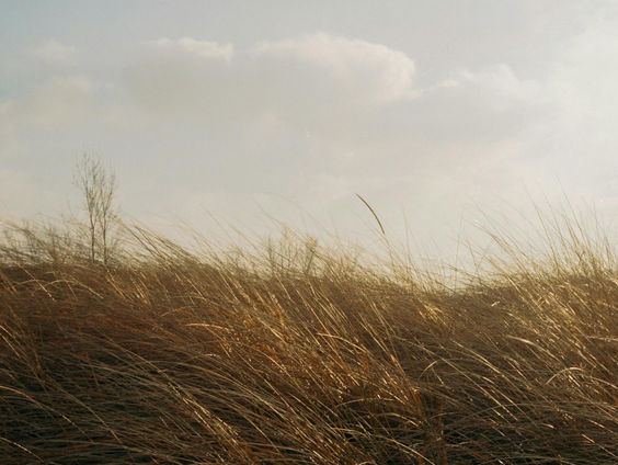 Lekkere Track: Zefiro