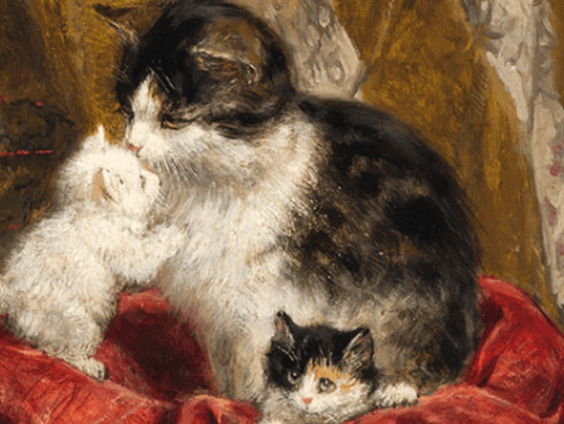 Het gesprek: Sander Paarlberg