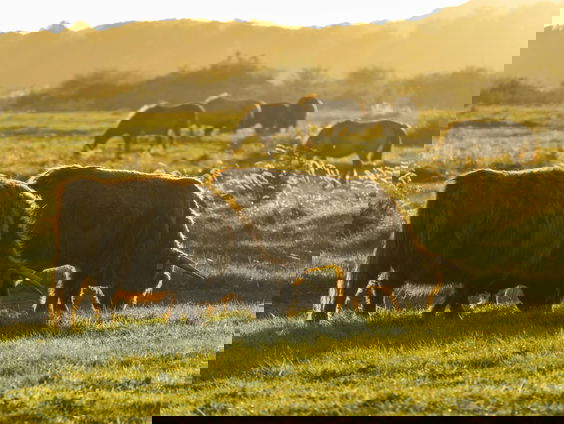 Lekkere track: De lente laat zich zien