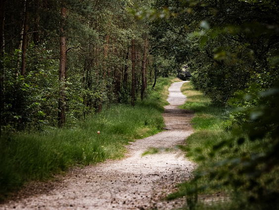 De Jaargetijden: natuurbeleid