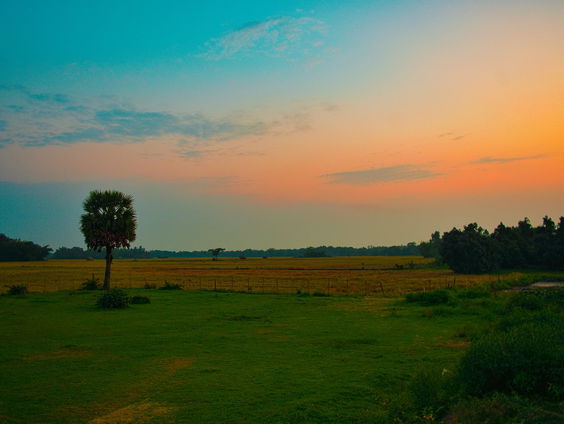 Kettingreactie 19 juni 2025