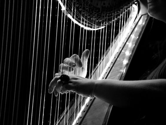 Kettingreactie 18 december 2024