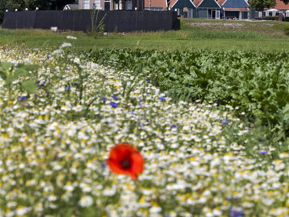 De Jaargetijden: snippernatuur