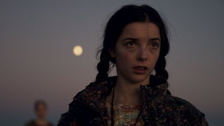 Filmtip - The wolf, the Fox and the Leopard