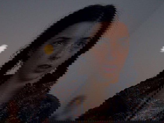 Filmtip - The wolf, the Fox and the Leopard