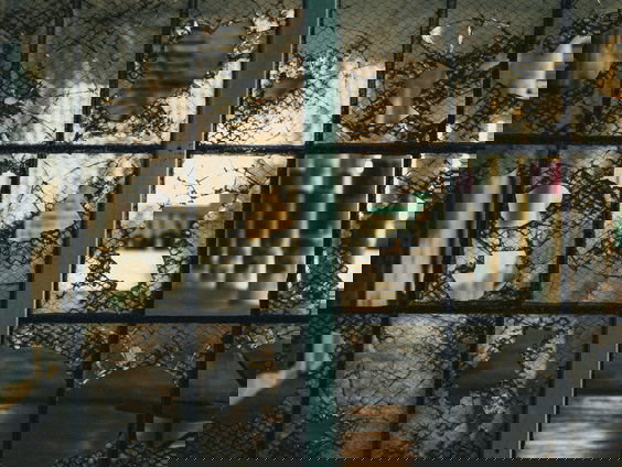 Lekkere Track: Gevaarlijke liefde