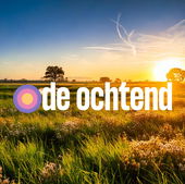 De Ochtend