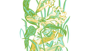 De Seizoenen - Maart