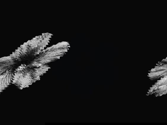 Lekkere Track: Winterdip