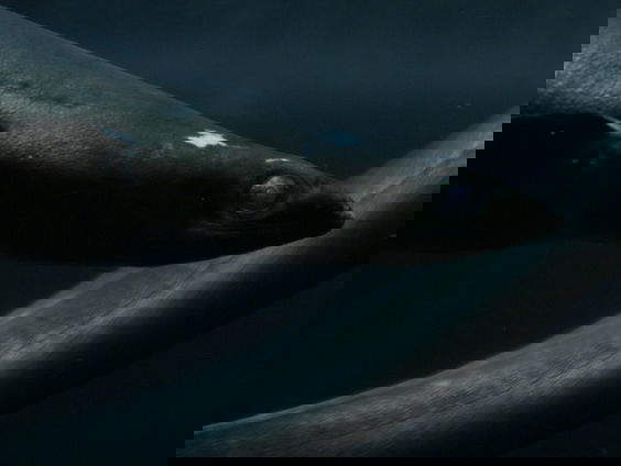 Het gesprek - Hans Dortmans