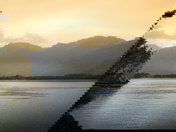 Kettingreactie 24 juli 2024