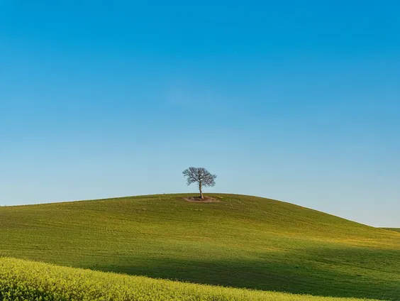 Kettingreactie 9 juli 2024