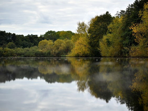 Kettingreactie 18 februari 2025