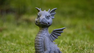 Lekkere Track: Hoe tem je een draak