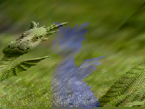 Lekkere Track: Hoe tem je een draak