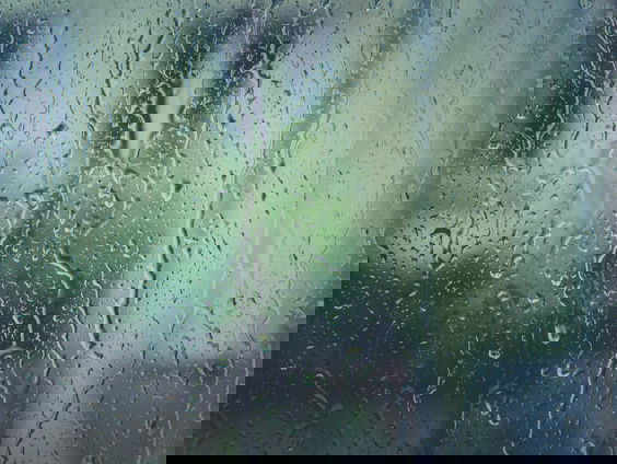 Lekkere Track: Regen