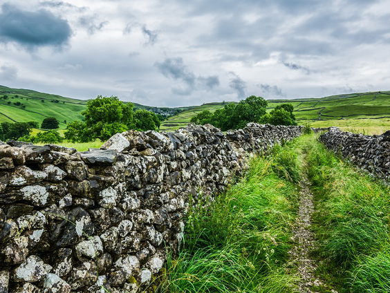 Kettingreactie 21 januari 2025