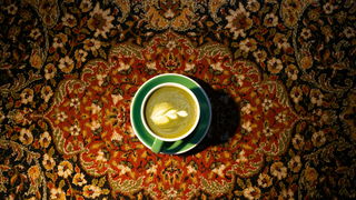 Lekkere Track: Knusse Dagen