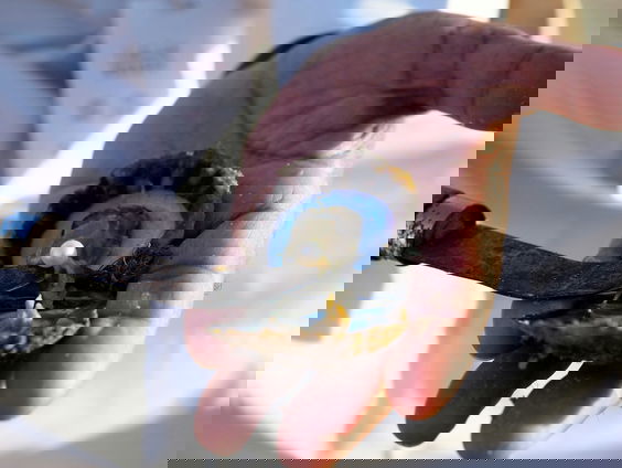 Lekkere Track: Pareltje