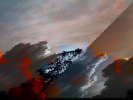 Lekkere Track: Nazomer